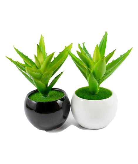 iShopping - ZS Store Artificial Plant Bonsai Pot Ceramic - Pack of 2