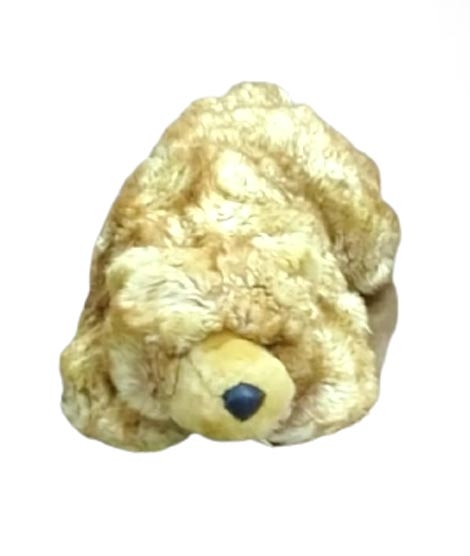 iShopping - ZT Fashions Stuffed Bear Toy For Kids (0006)
