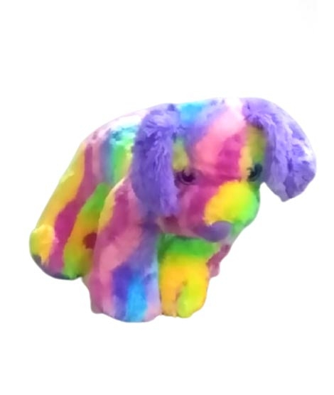 iShopping - ZT Fashions Stuffed Rainbow Dog Toy