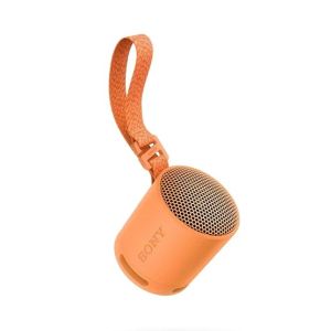 Sony Portable Wireless Speaker (SRS-XB100)-Orange