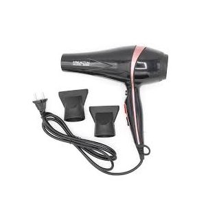 Panasonic Professional Saloon Dual Mode Hair Dryer (PA-4400)