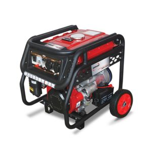 Homage 2.8KVA Generator With Gas Kit (HGR-2.8 KV-D)