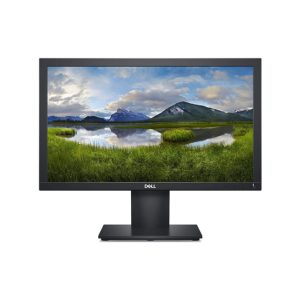 Dell 19