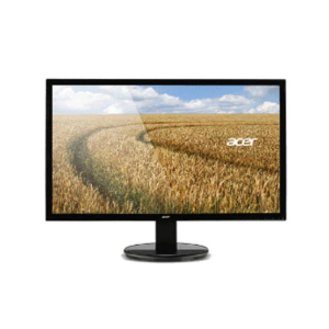Acer 19.5