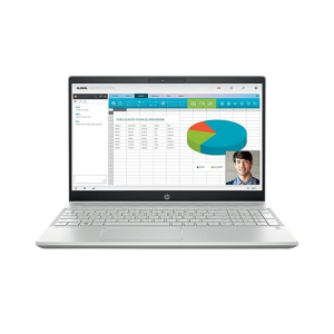 HP Pavilion 15.6