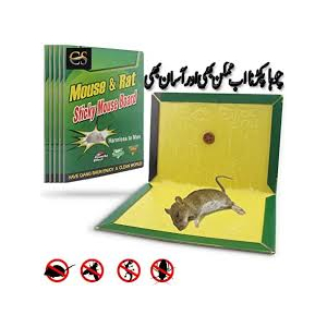 Genshirt Every Season Mouse and Rat Trap Glue Book