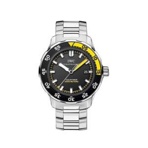 IWC Aquatimer Automatic 2000 Men's Watch Silver (IW356801)