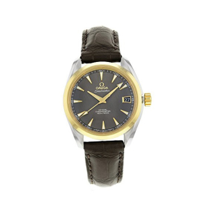 Omega Seamaster Men's Watch Brown (231.23.39.21.06.002)