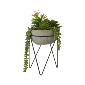 Premier Home Fiori Mixed Succulent Plant With Metal Stand (2907049)