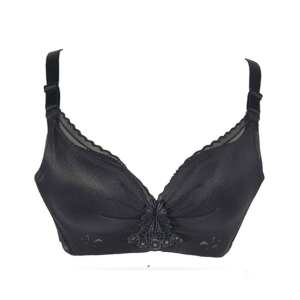 Purple Bag Fancy Net Lace Wireless Light Padded Full Support Bra (0020)