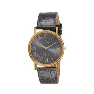 Titan Analog Men's Watch Black (1595YL02)
