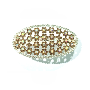 Wish Fancy Metal Hair Clip For Women 1Pcs (0033)