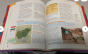 iShopping - The Quality Store Scholastic Children's Encyclopedia Book