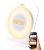 iShopping - Oregon Scientific Illumi Shine Wake-Up Clock (Wl388)