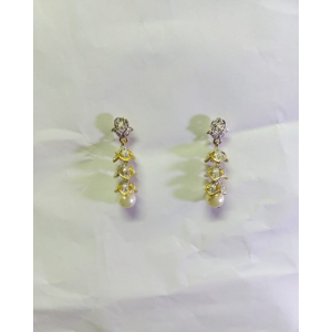 Desire Fashion Designer Earring For Women (112250114)