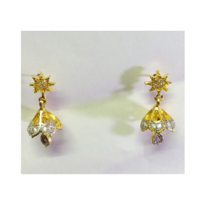 Desire Fashion Designer Earring For Women (120120122)