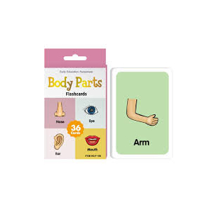 Planet X Body Parts Flash Card Educational & Interactive Card (PX-12184)
