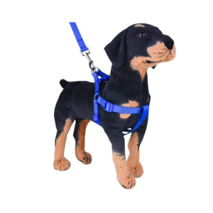 ShopEasy Puppy Harness With Leash Easy Walk