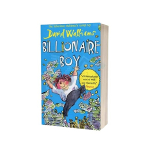 Billionaire Boy Book