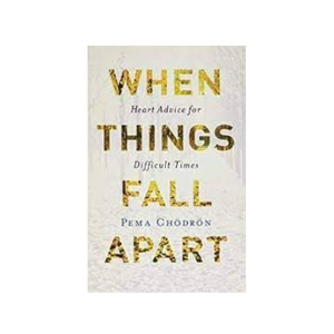 When Things Fall Apart Book