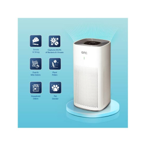 GFC Air Purifier (GF-400)