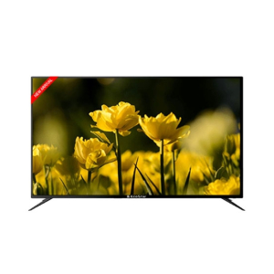 EcoStar 55" Smart 4K UHD LED TV (CX-55UD921P)