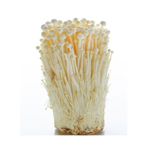 Husmah Enoki Mushroom Seeds
