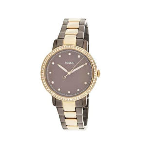 Fossil Neely Women's Watch Two Tone (ES4300)
