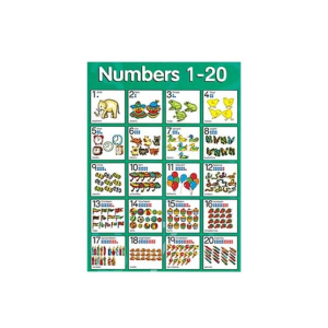 Kharedloustad A4 Size Learning Wall Sticker (0137)