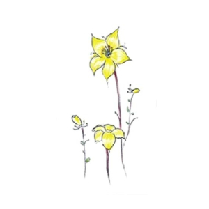 Ferozi Traders Yellow Blossom Flower Tree Tattoo Sticker