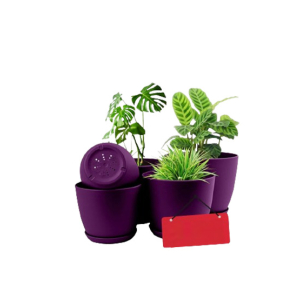 Araaish Decorative Flower Pots  With Drainage Without Plants - Pack Of 5-Purple