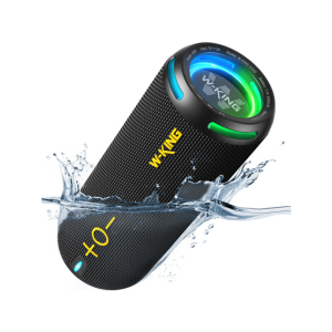 W-King 40W TWS Portable Speaker (D320)