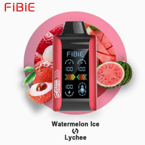 FIBIE WATERMELON ICE & LYCHEE 15000 Puffs