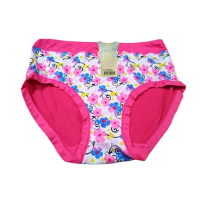 Zehra Collection Fancy Stretchable Panty For Women