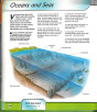 iShopping - The Quality Store Miles Kelly Publishing of Knowledge Book