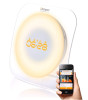 iShopping - Oregon Scientific Illumi Shine Wake-Up Clock (Wl388)
