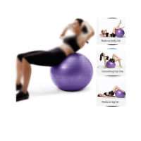 Aair Medicals Yoga Gym Ball With Air Pump (45cm)