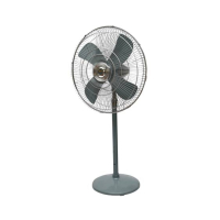 Super Asia Delta 24” Pedestal Fan (AC-DC)