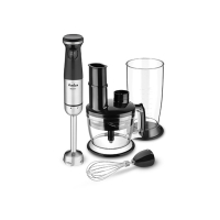 Amica Hand Blender (BL6016)