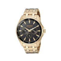 Armitron Analog Men's Watch (20/5256BKGP)