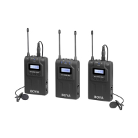 Boya Pro K2 Dual Channel Wireless Microphone System (BY-WM8)