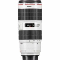 Canon EF 70-200mm f/2.8L IS III USM Lens