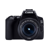 Canon EOS 250D DSLR Camera With EF-S 18-55mm IS Lens