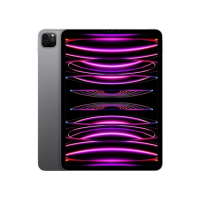 Apple iPad Pro 11" 256GB Wi-Fi M2 Chip Space Gray (2022)