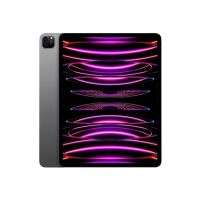 Apple iPad Pro 12.9" 128GB Wi-Fi M2 Chip Space Gray (2022)
