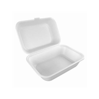 Diyan-e-Store Disposable Food Box Large Pack Of 20