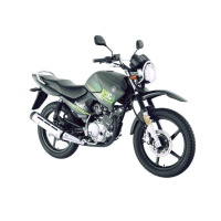 Yamaha YBR 125G - 2023 Model-Grey-None