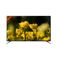 EcoStar 55" Smart 4K UHD LED TV (CX-55UD921P)