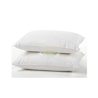 Lucky Quilts Polyester Fiber Pillow - Pack of 2