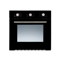 Nasgas Built-in Oven (NG-560)
